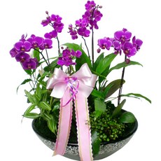 ce00ea5a14bd3dd395fb6a448351e6027a6d31a270fe70d9350ca6f0f3bb.jpg