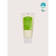 닥터올가수딩젤