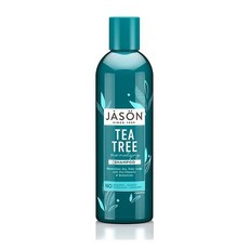Jason Natural 트리트먼트 샴푸 노멀라이징 티 트리, 517ml, 1개
