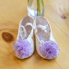 발레슈즈소단사