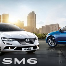 SM6 LED (LE/RE)-트렁크등만 구매, 블루화이트, 1개