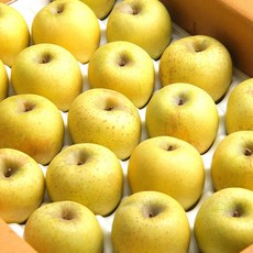 [엄지척농산물] 첫 출하! 경북 햇 시나노골드 황금사과, 1개, 시나노골드 5kg 소과(23-28)