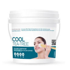 린제이쿨티트리모델링팩