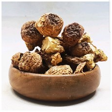 아가리쿠스버섯책