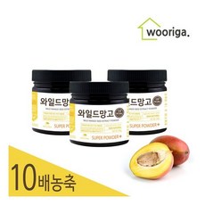 우리가스토리와일드망고