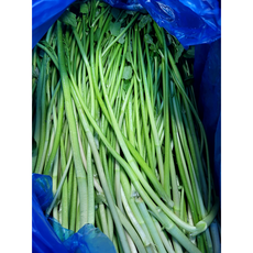 [재구매율BEST] 국산 신선한 생 미나리 400G 1KG 세척 돌미나리, 1개