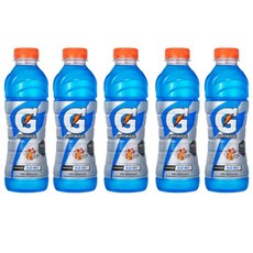 순성왕매실600ml