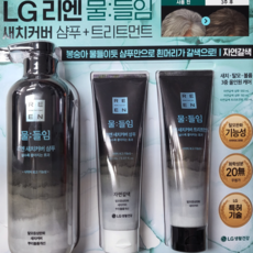 코스트코 LG리엔 물들임 샴푸 앤 트리트먼트 550ml+150ml+150ml, 1개