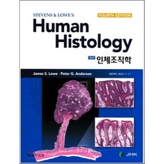 인체조직학 Human Histology, JMK