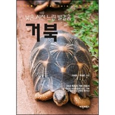 시선으로부터 TOP01