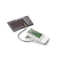 바겐슈타이거인바디