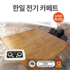 거실용전기카페트