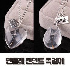 크롬하츠금목걸이