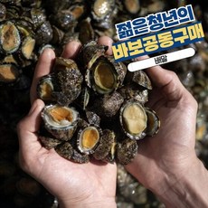 르베르웨건공동구매