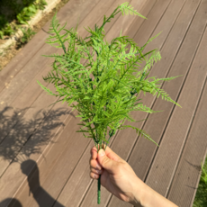 플랜테리어랩 리얼 아스파라거스 부쉬 조화 36cm 3개 묶음 생화같은 자연스러움