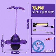 가정용스카이콩콩