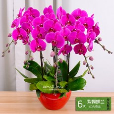 9c2c9b8743a61babd4e1a138978cb0b4e329dd2f682283fd0447176afa72.jpg