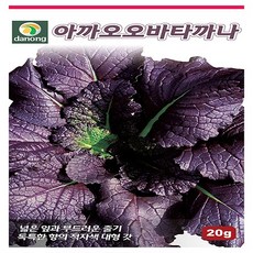 까불이오란다