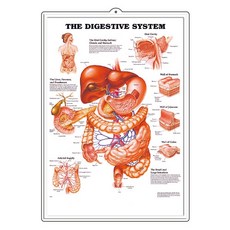 쓰리디시스템즈