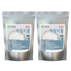 가톨리시즘