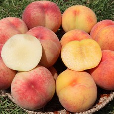 햇사레복숭아 장호원복숭아 프리미엄 백도 황도 3kg 4kg 대 특 왕, 1개