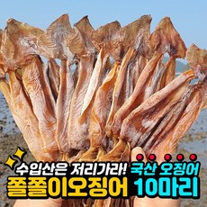 국산 쫄쫄이 오징어 250g내외 (10미)