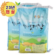 철원오대쌀 23년산 햅쌀 DMZ 대마리 10kg+10kg, 1개, 20kg