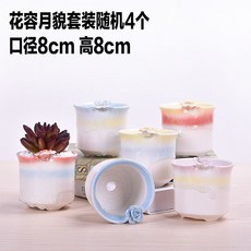 d360ca8908498bd4be4b5210d4197d1d4f3d66c74398ca4781afe0ca7809.jpg