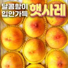 영덕딱딱이복숭아