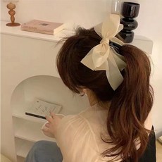 버버리헤어핀