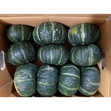 (국내산) 포근 미니단호박 (10개~17개) 약4kg