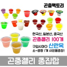 왕사슴벌레유충