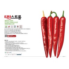 2023 고추종자 팜한농 티탄빅히트 1200립 + 뿌리나원500ml 세트, 1200립+뿌리나원500ml, 1세트