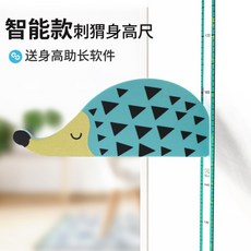 아이키스마트키재기자