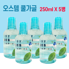 가글 250ml 가글액 구강관리 x 구강청결제 오스템 쿨 5개