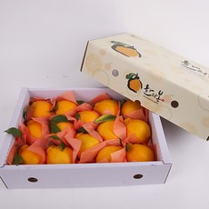 제주 선물세트 한라봉플러스향 2kg 중과, 1개