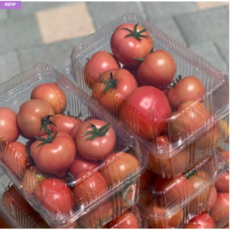토마토 용기 2kg 과일용기 과일채소포장용기 i-230 밀감귤 자두 포도 토마토 방울토마토 복숭아, 1개, 1개