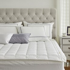 로라애슐리스프레드q