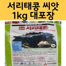 [2023년 씨앗] 모두다팜 서리태 서리태콩 씨 씨앗 종자 대용량 1kg 콩종자