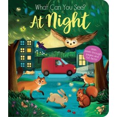 What Can You See? at Night Board Books, Tiger Tales.
