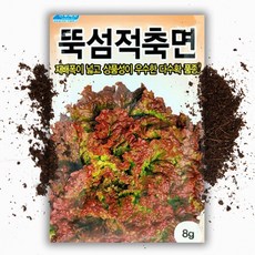 농우바이오 뚝섬적축면 상추씨앗 (8g), 1개