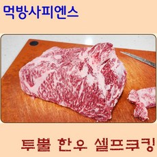 먹방사피엔스 우예담 한우 투뿔 셀프쿠킹 갈비살