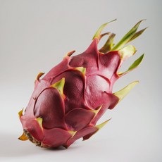 방방 베트남 생 레드 화이트 용과 2kg 5kg, 1박스, 레드 용과 9과~10과, 5kg내외