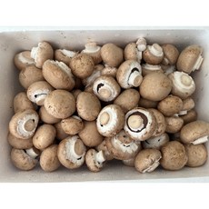 무농약 브라운 양송이버섯 실속형, 무농약 브라운 양송이버섯 실속형 2kg