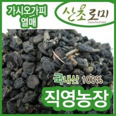 가시오가피열매