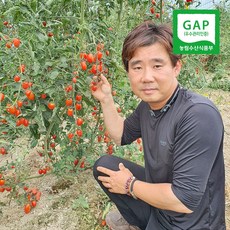 양주 바른농원 방울토마토 [직접생산] [산지직송 ] [당일수확] [GAP인증] 레드 대추 방울 토마토 2KG /4KG 블랙 대추 방울 토마토2KG / 4KG (월.수.금 발송), 레드 대추 방울 토마토 4KG