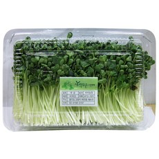 믿을 수 있는 국내산 농산물 청무순 1팩(150g) 이강산닷컴, 1개
