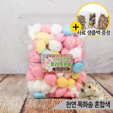 햄스터솜