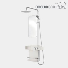 대림바스 DL-B7010 선반형 레인 샤워 수납형 해바라기 수전 2WAY DLB7010, 1개