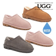 어그로지브라운